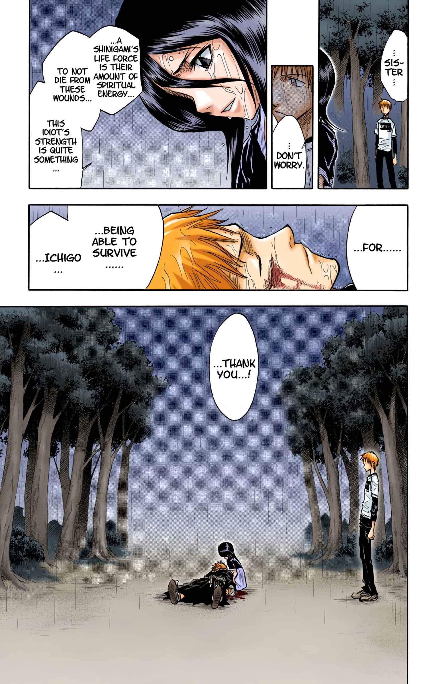 Page 19 Chapter 24 Bleach (Official Colored)