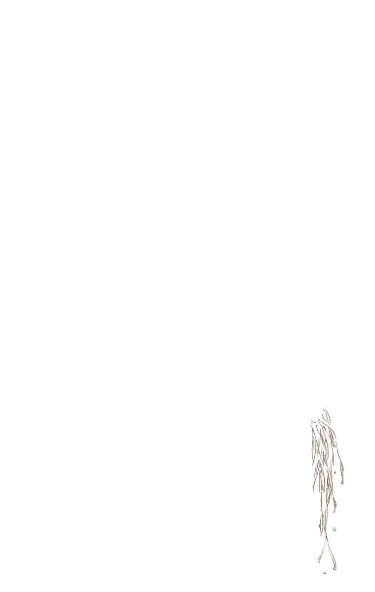 Page 20 Chapter 515 Bleach (Official Colored)
