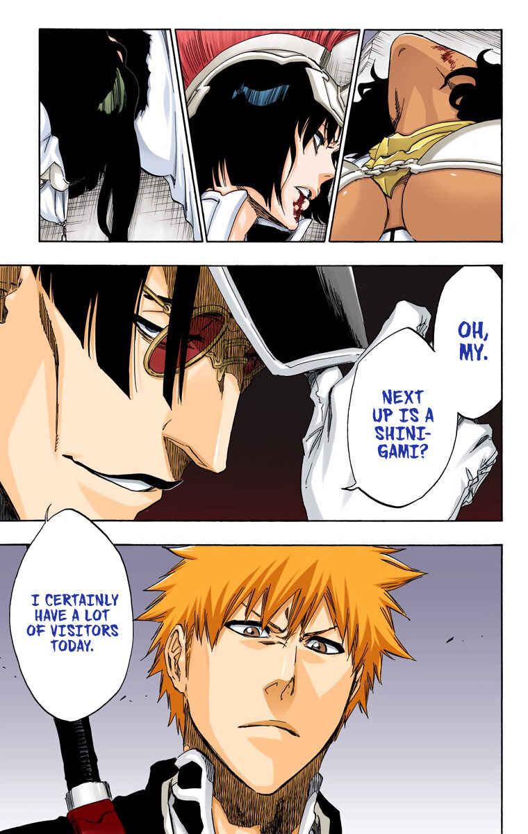 Page 19 Chapter 488 Bleach (Official Colored)