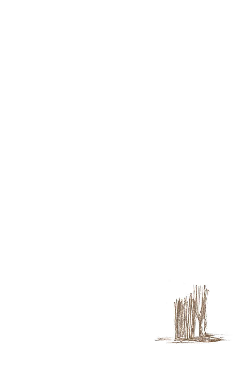 Page 21 Chapter 523 Bleach (Official Colored)