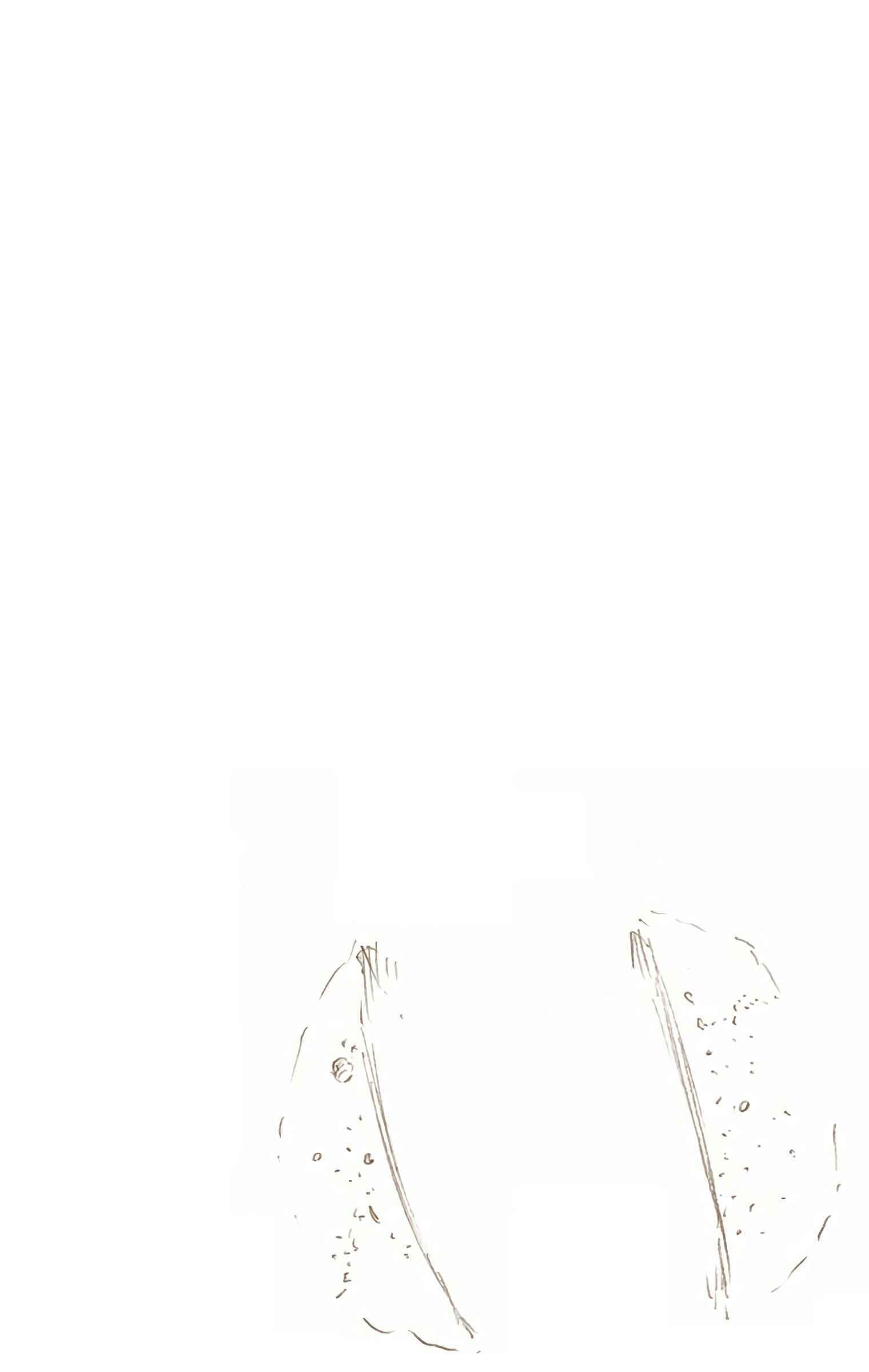 Page 18 Chapter 677 Bleach (Official Colored)
