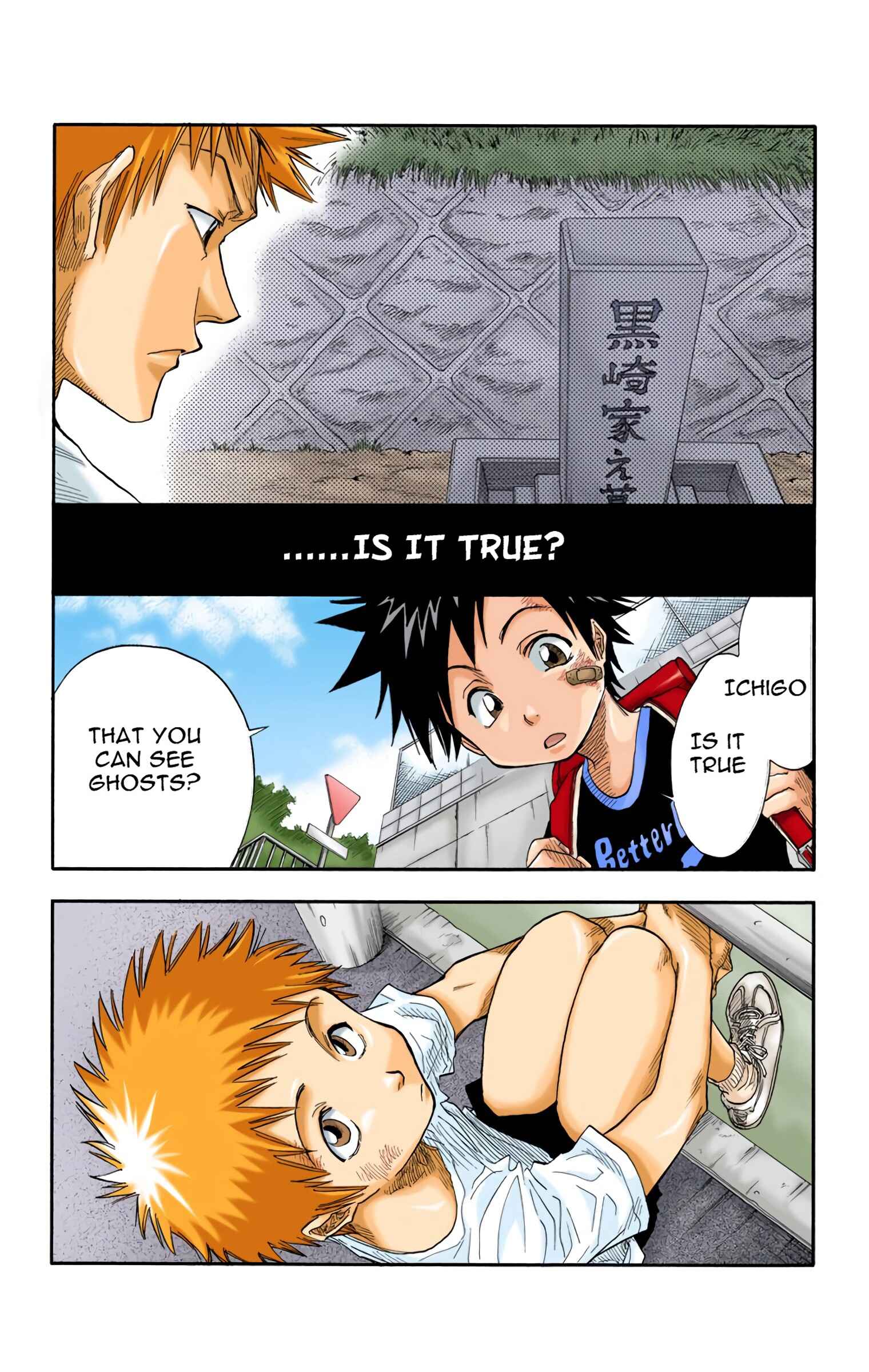 Page 6 Chapter 19 Bleach (Official Colored)