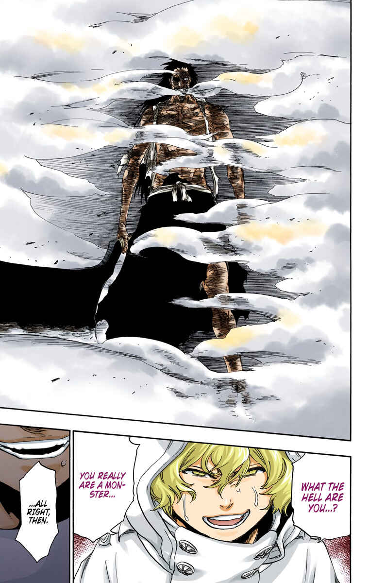 Page 13 Chapter 578 Bleach (Official Colored)