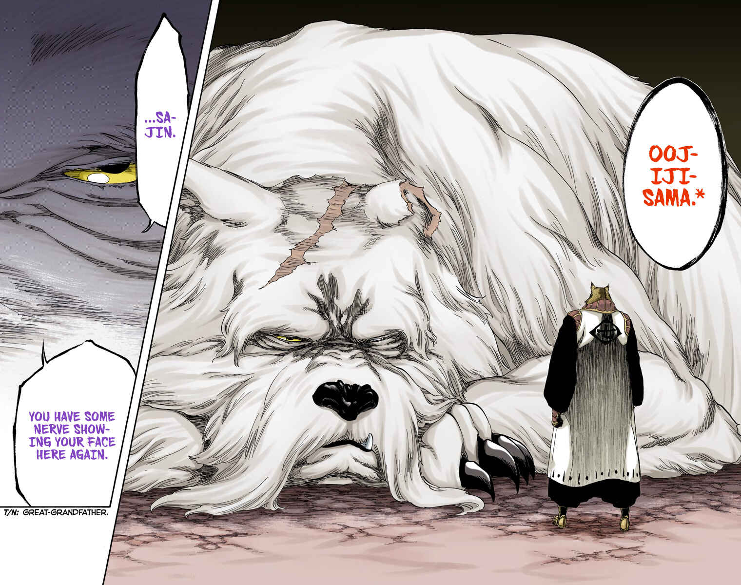 Page 17 Chapter 538 Bleach (Official Colored)