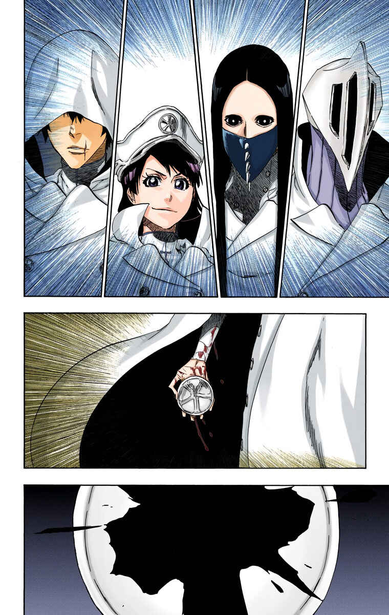 Page 14 Chapter 496 Bleach (Official Colored)