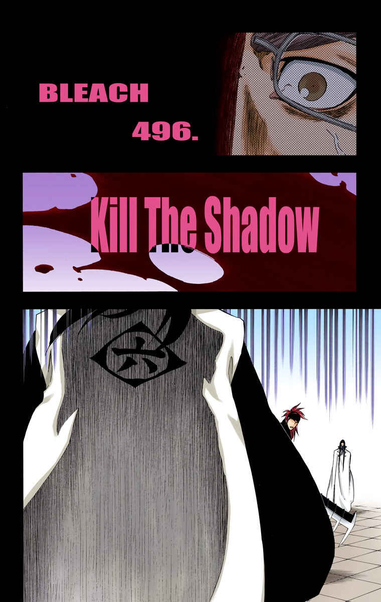 Page 5 Chapter 496 Bleach (Official Colored)