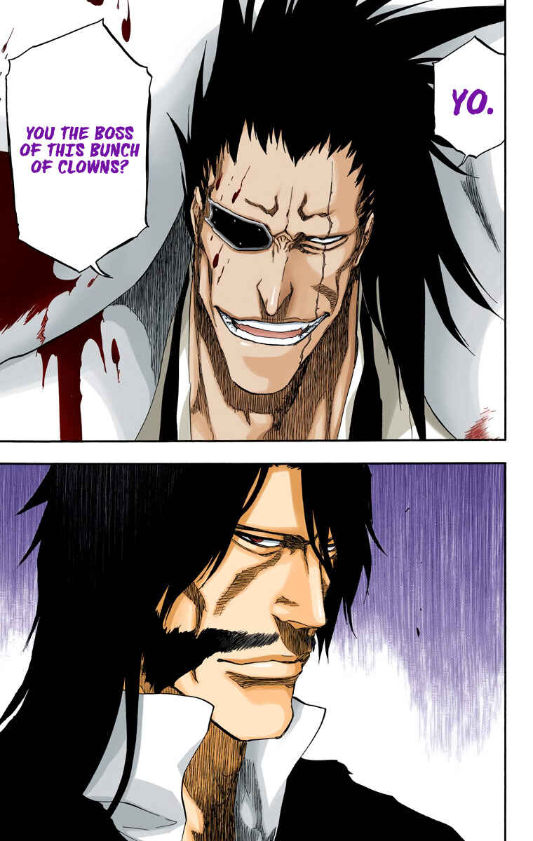 Page 19 Chapter 502 Bleach (Official Colored)