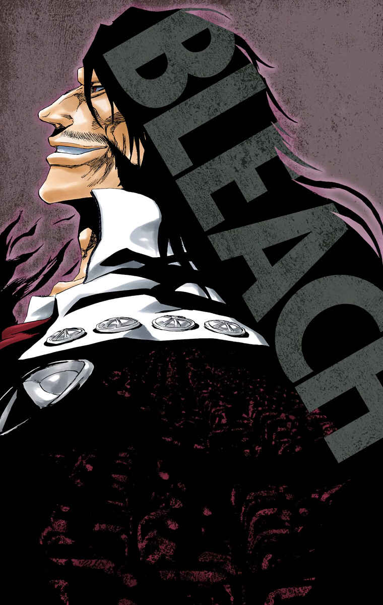 Page 3 Chapter 495 Bleach (Official Colored)