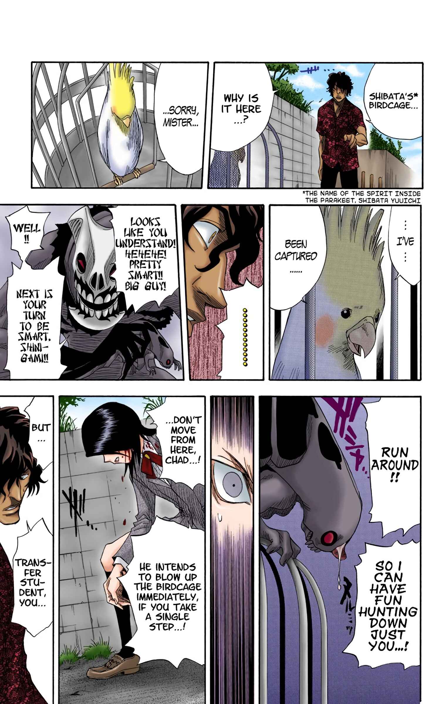 Page 13 Chapter 10 Bleach (Official Colored)