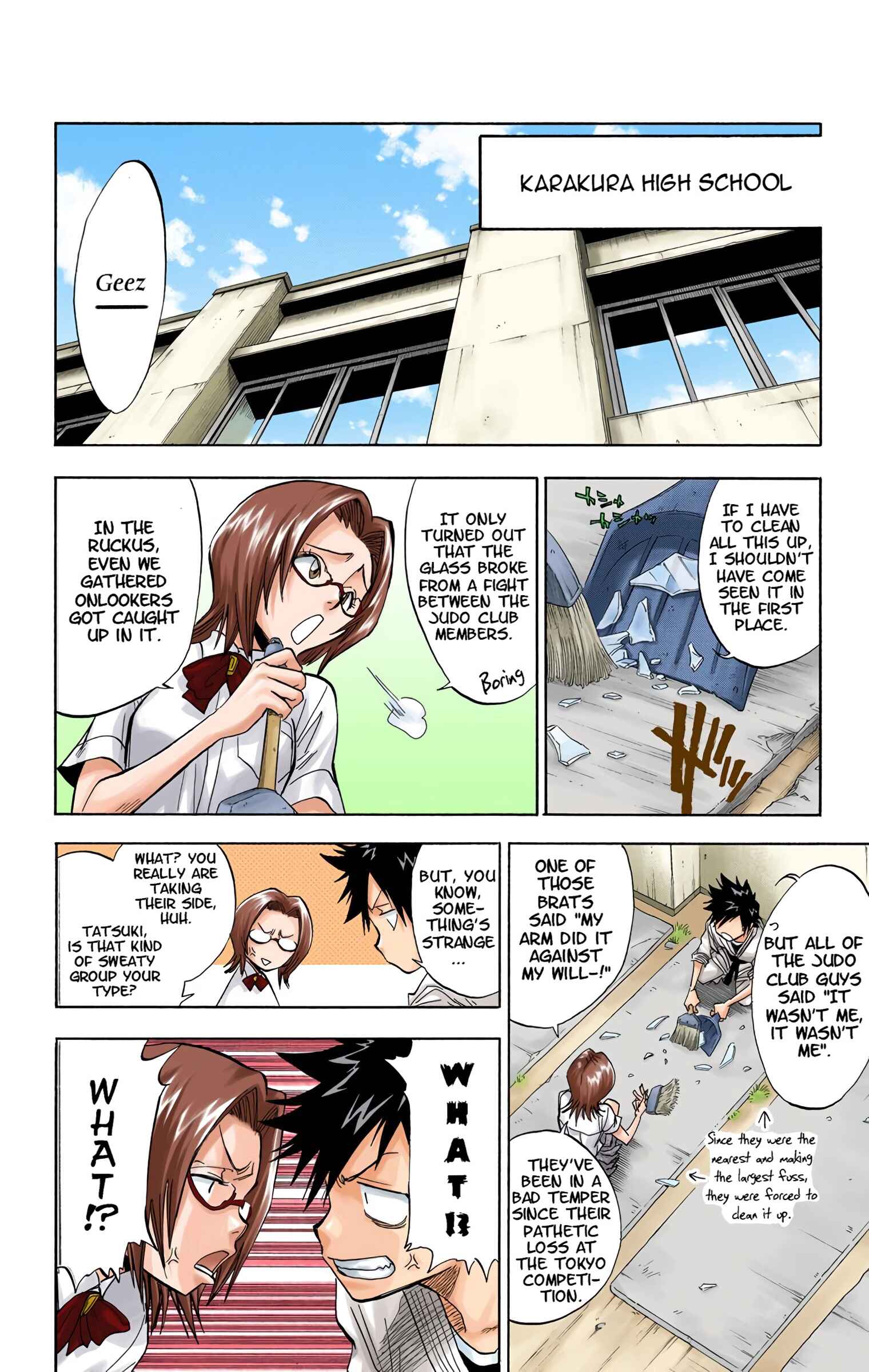Page 15 Chapter 40 Bleach (Official Colored)