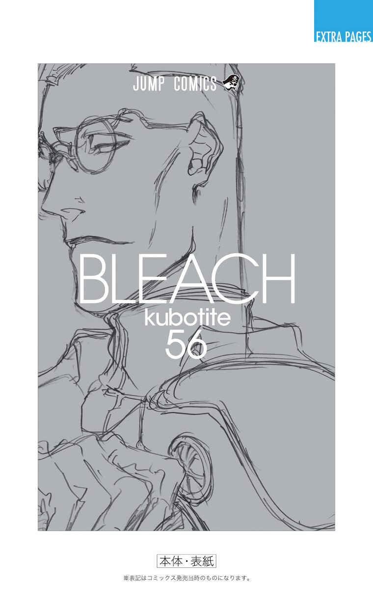 Page 21 Chapter 499 Bleach (Official Colored)
