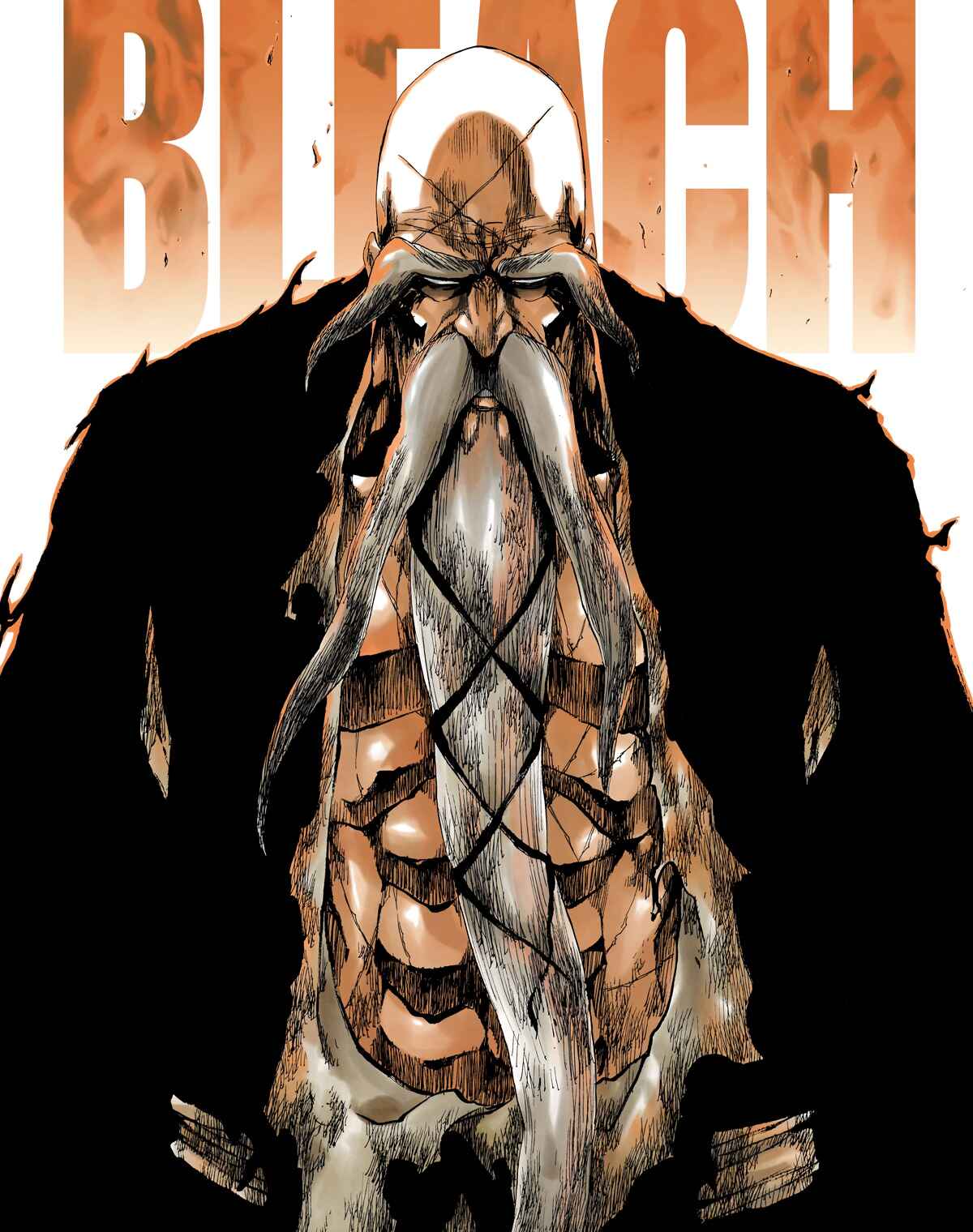 Page 3 Chapter 505 Bleach (Official Colored)
