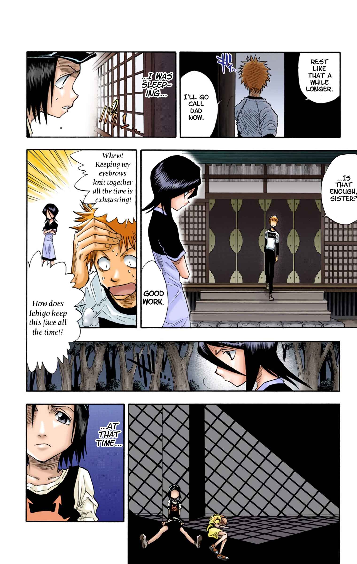 Page 16 Chapter 22 Bleach (Official Colored)