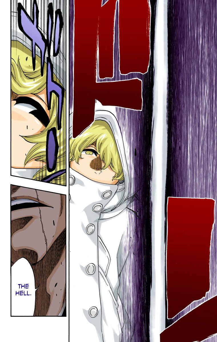 Page 17 Chapter 573 Bleach (Official Colored)