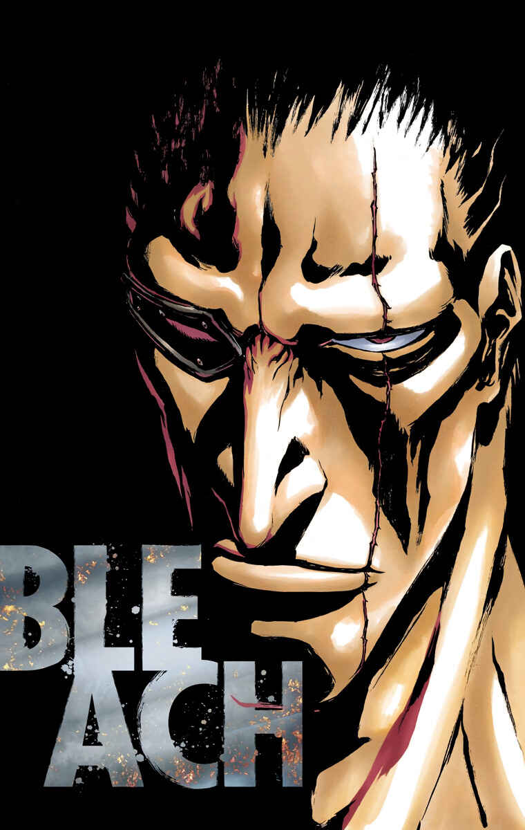 Page 2 Chapter 573 Bleach (Official Colored)