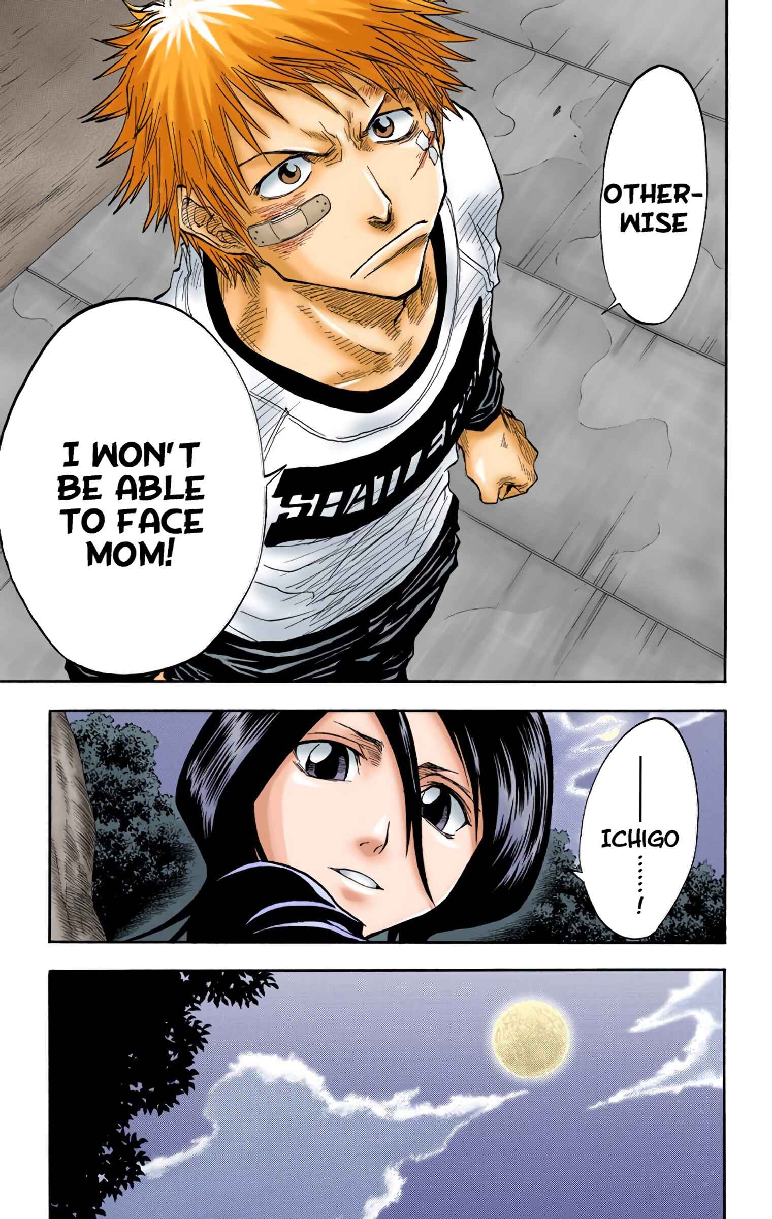Page 16 Chapter 25 Bleach (Official Colored)