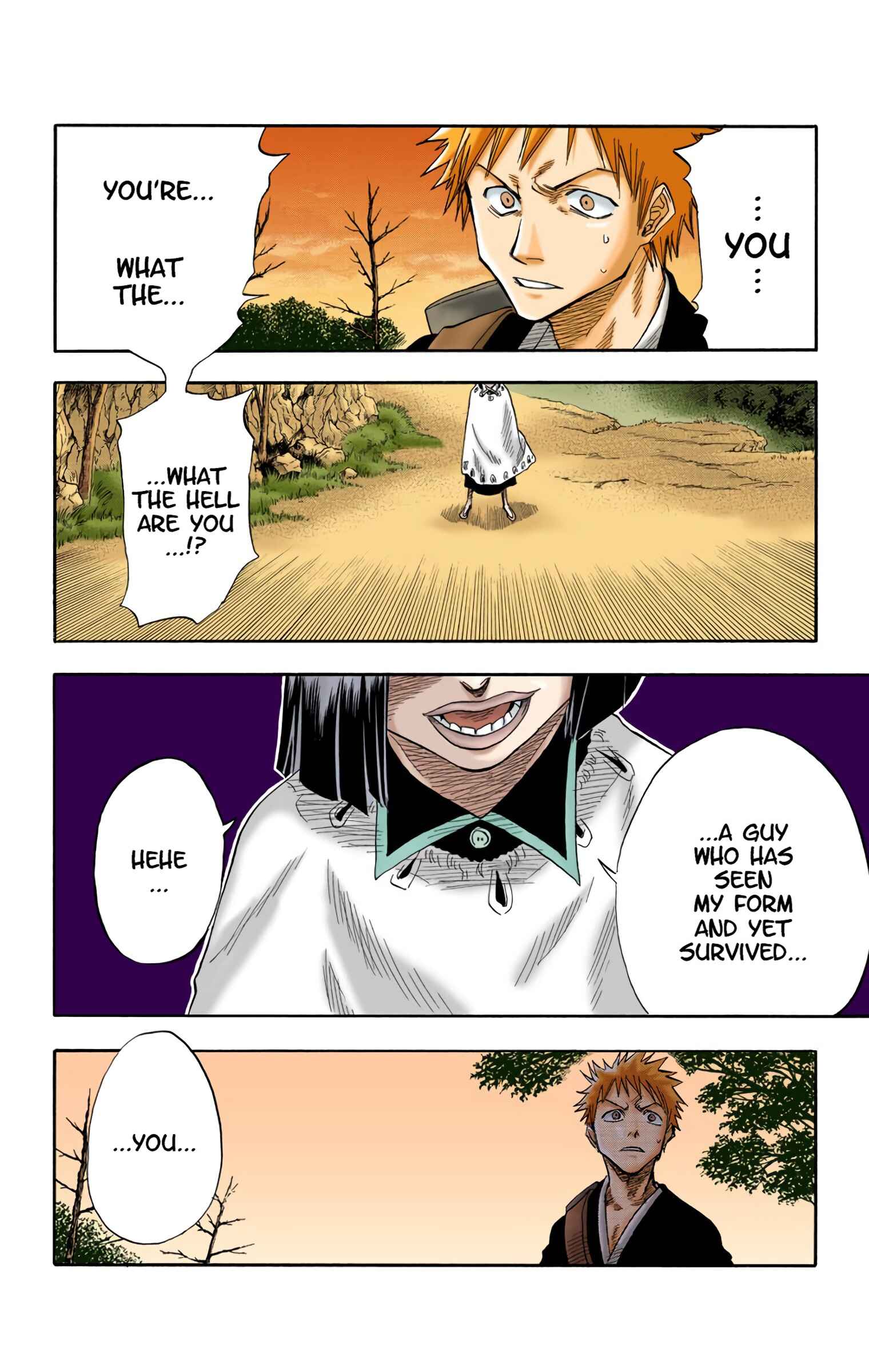 Page 4 Chapter 21 Bleach (Official Colored)