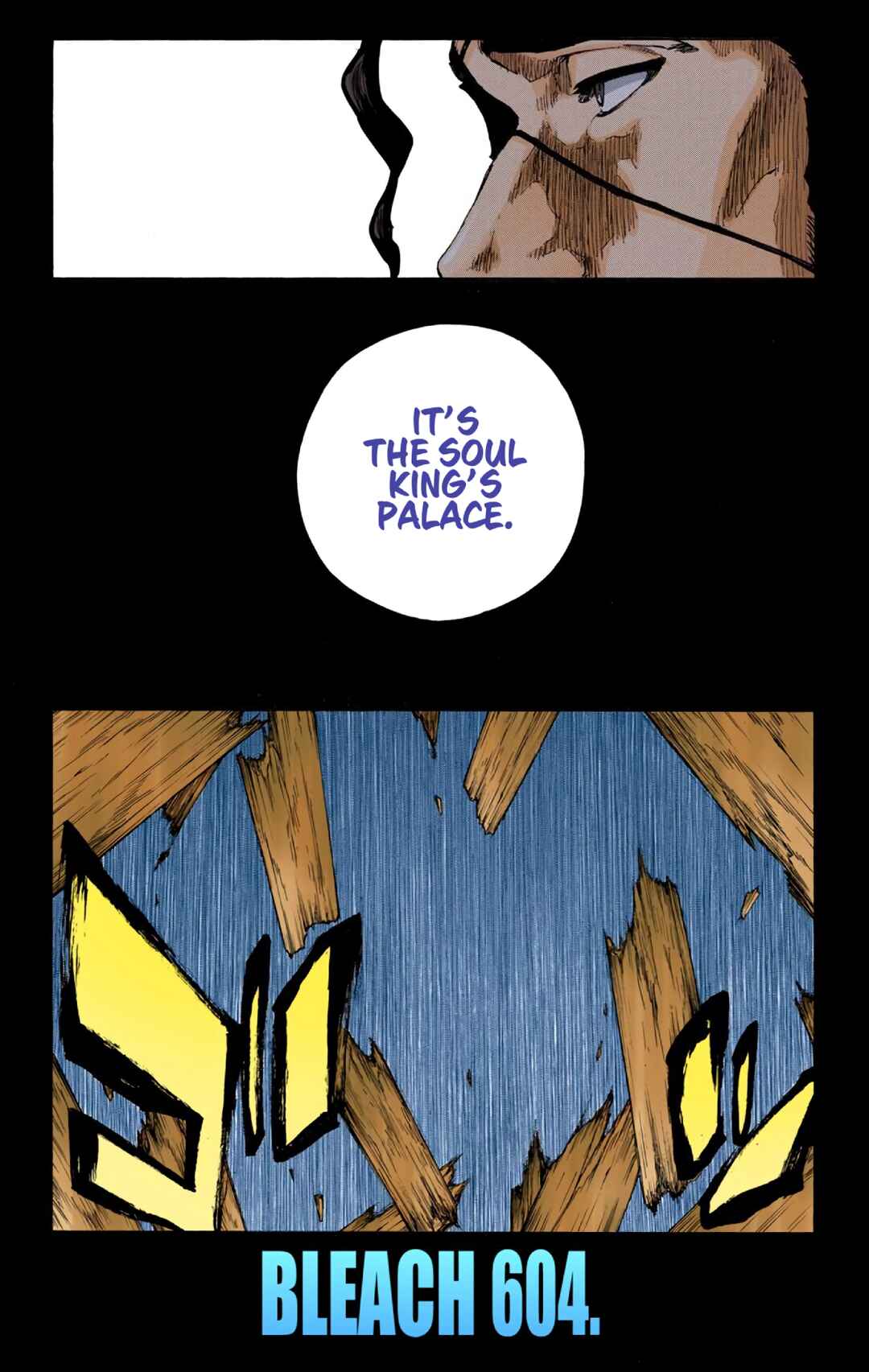 Page 6 Chapter 604 Bleach (Official Colored)