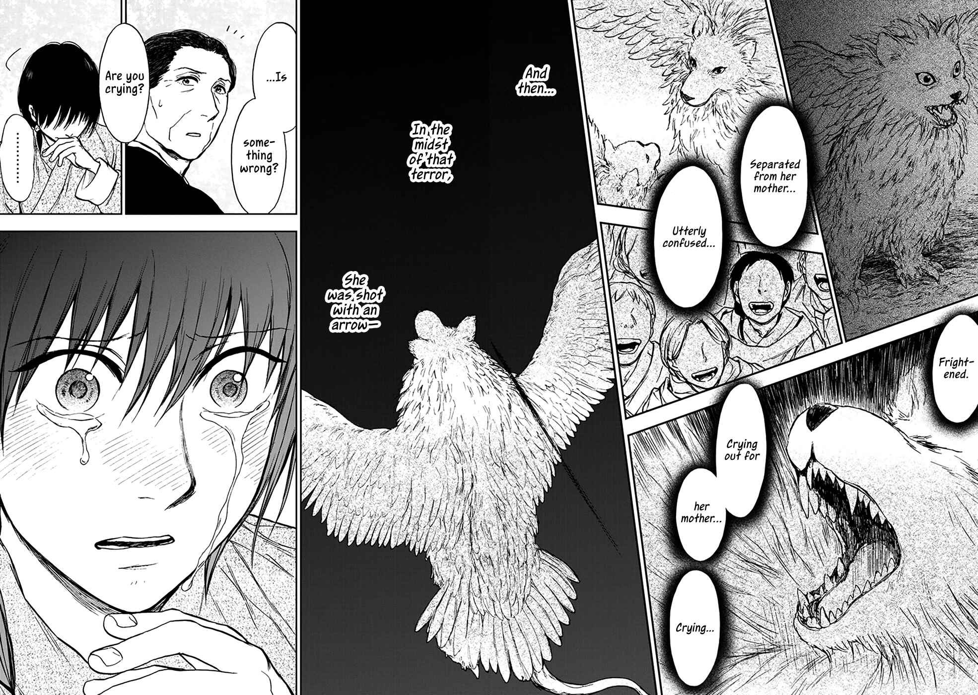 Page 13 Chapter 4.5 The Beast Player