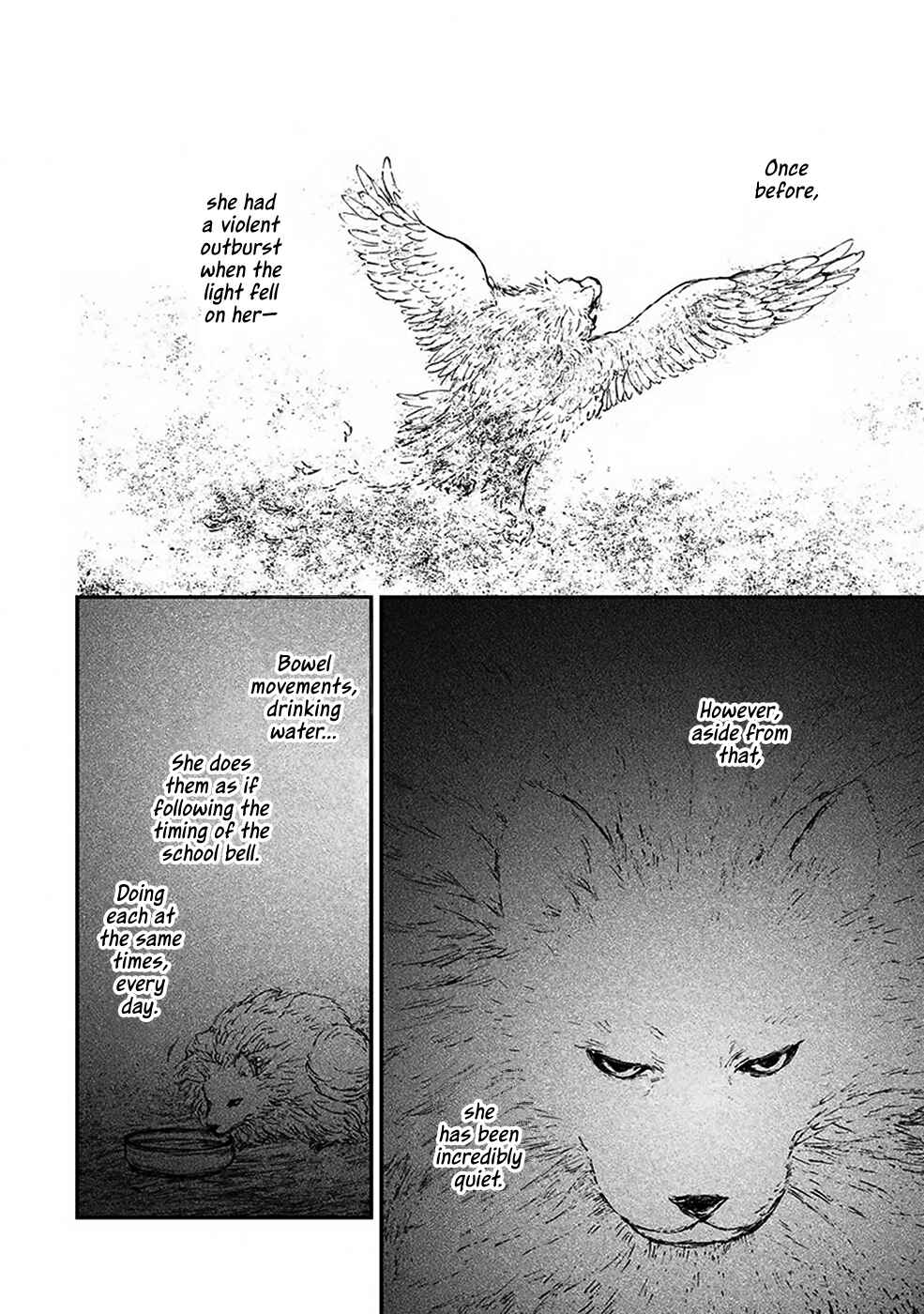 Page 23 Chapter 4.6 The Beast Player
