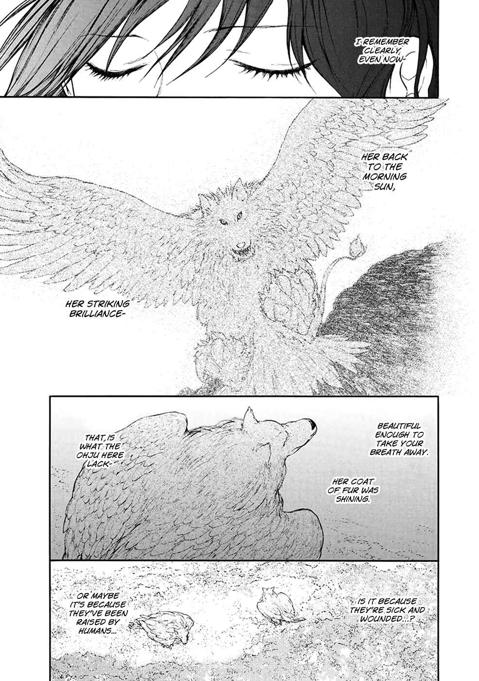 Page 14 Chapter 4.4 The Beast Player