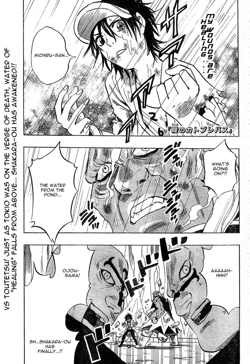 Page 1 Chapter 12 Catoblepas of the Eye