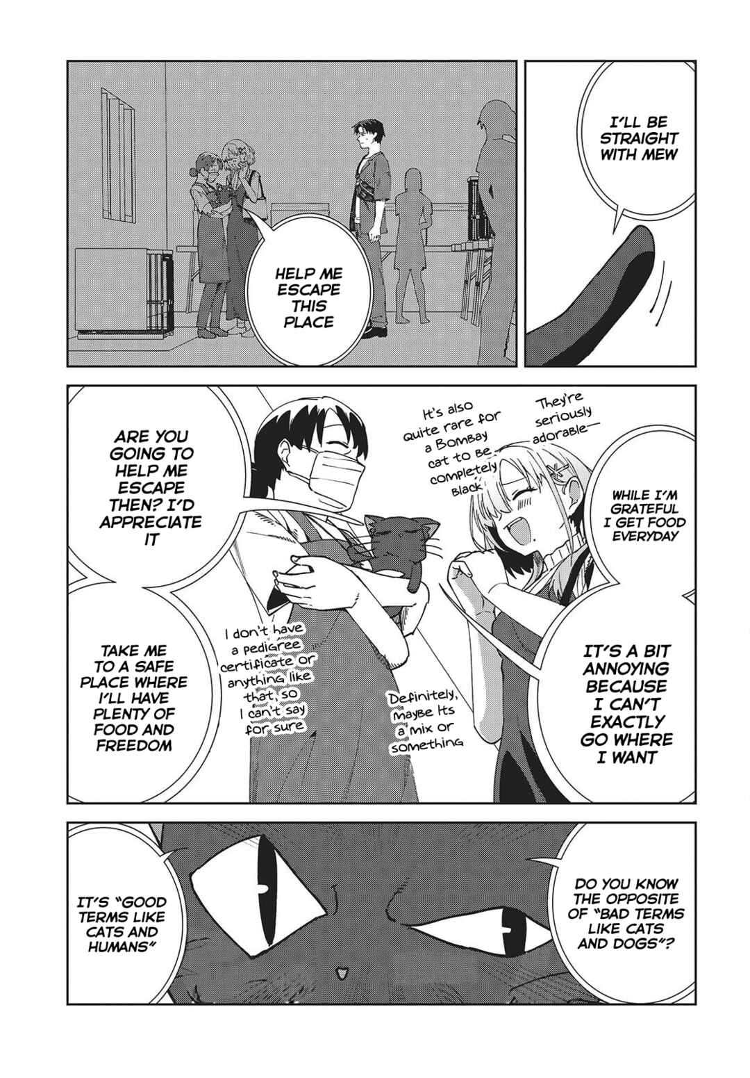 Page 16 Chapter 6 Soshiki no Shukuteki to Kekkon Shitara Mecha Amai
