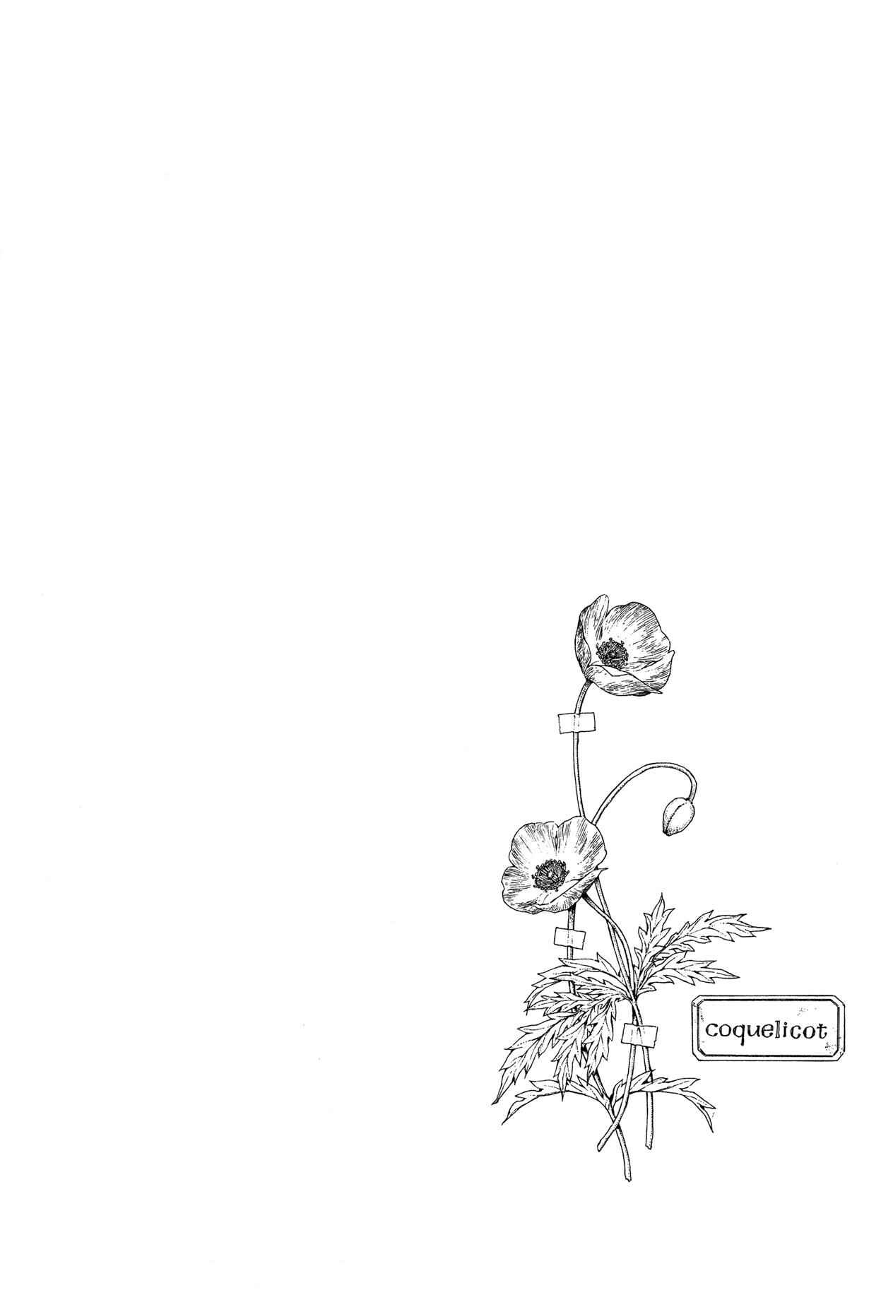 Page 34 Chapter 20 Giséle Alain