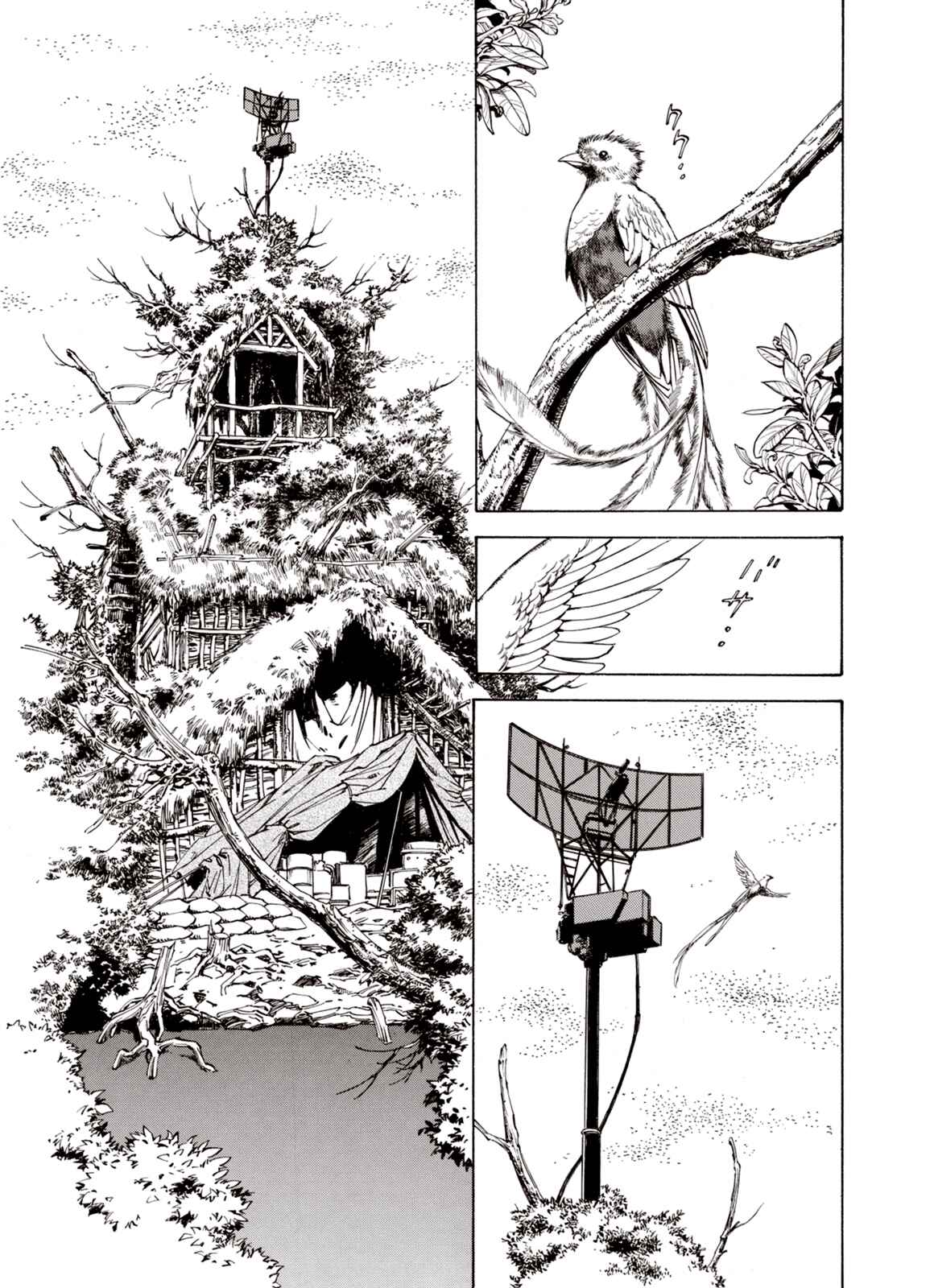 Page 14 Chapter 50 A Beast Cries in the Wilderness