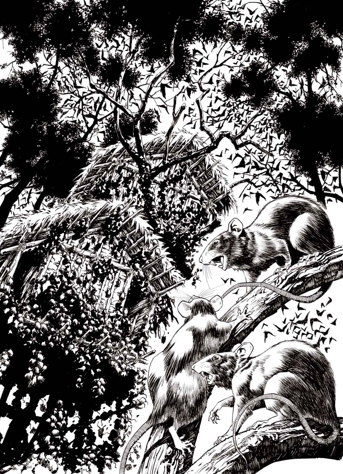 Page 2 Chapter 65 A Beast Cries in the Wilderness