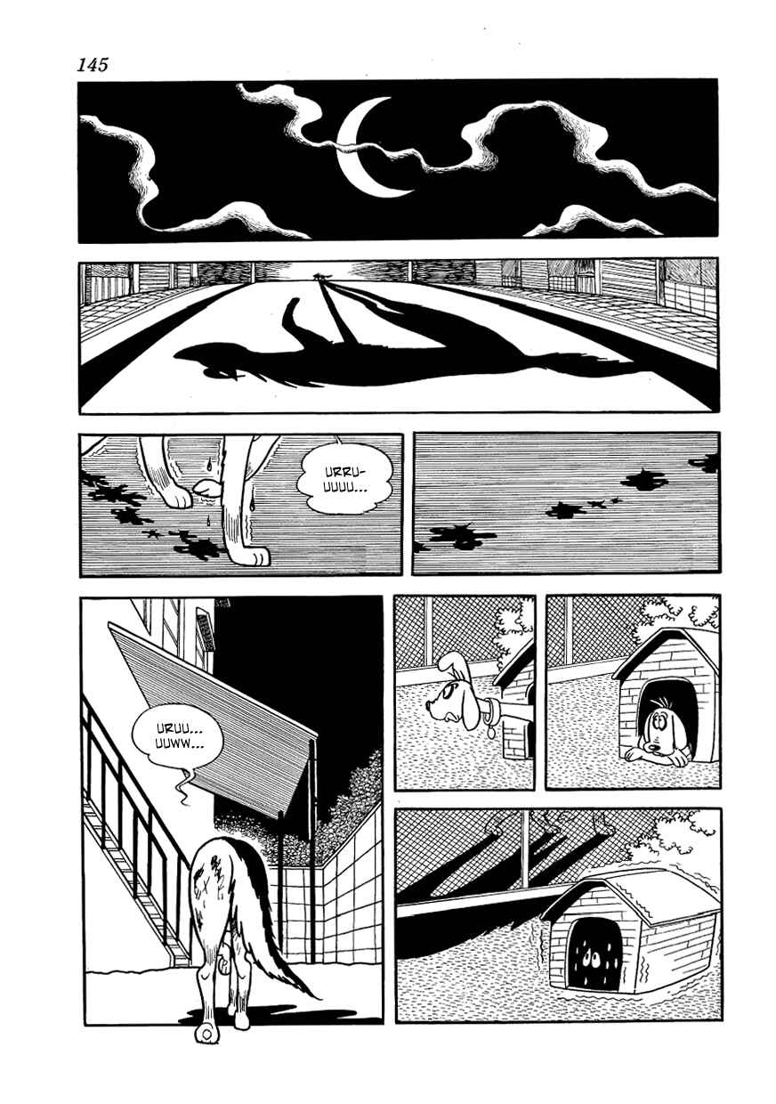 Page 16 Chapter 7 Vampires