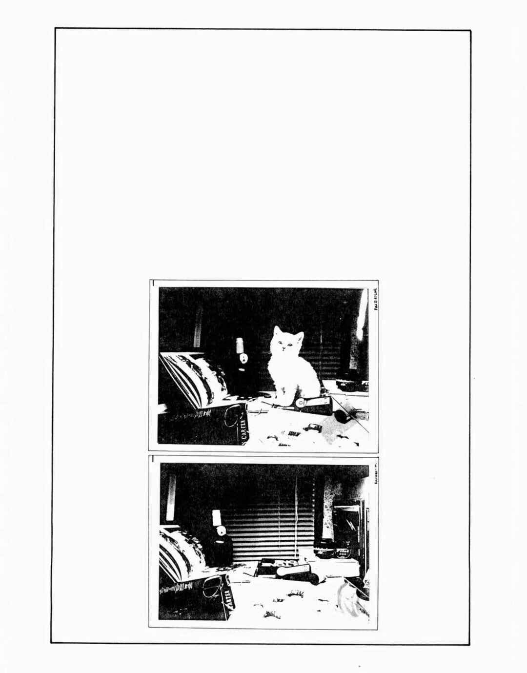 Page 2 Chapter 4 SOS Greater Tokyo Exploration Team