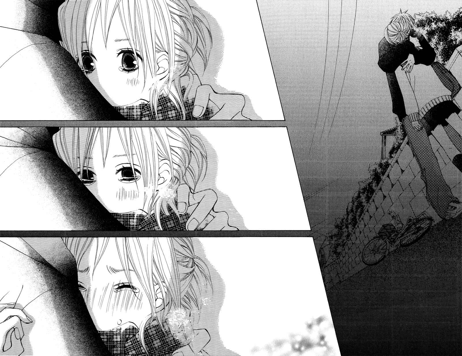 Page 40 Chapter 28 Sprout