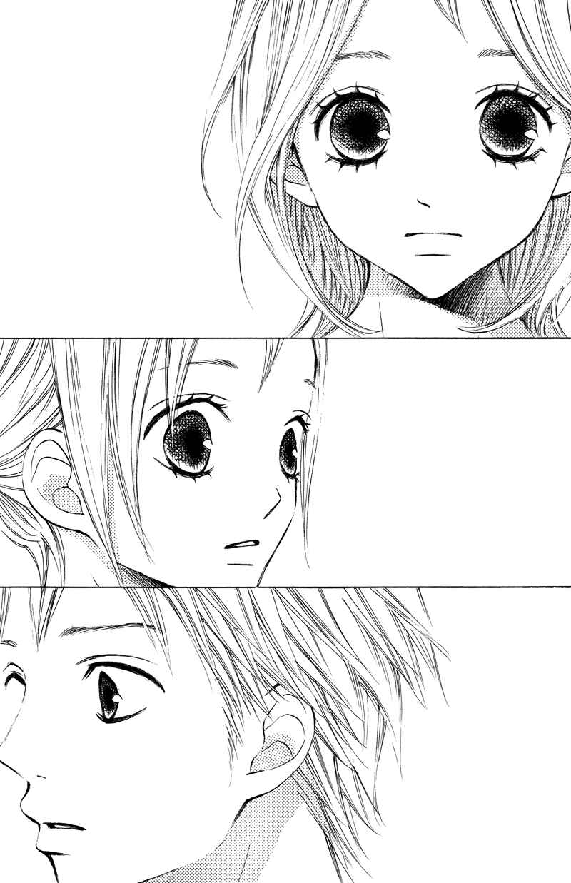 Page 40 Chapter 15 Sprout