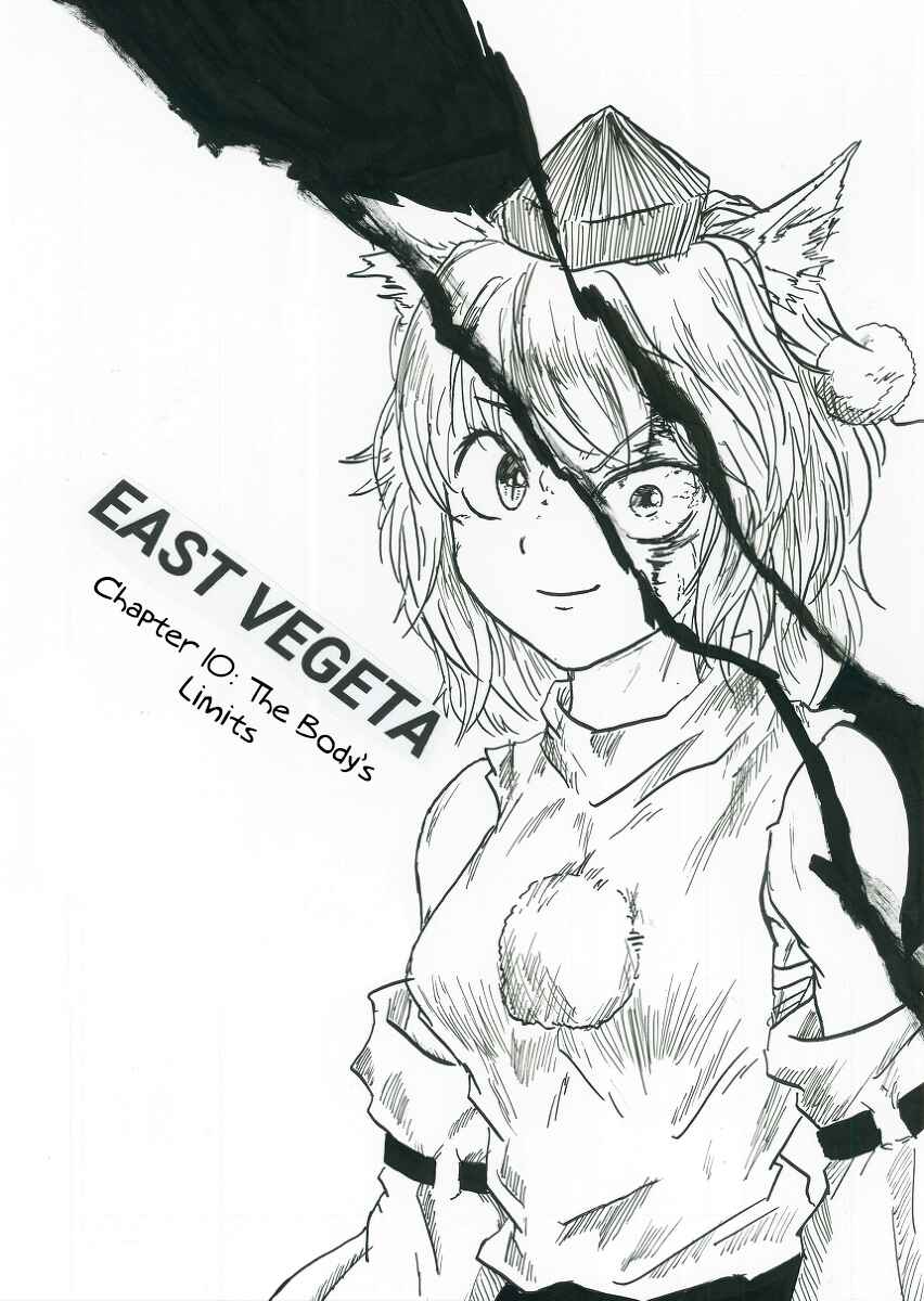 Page 2 Chapter 10 Touhou & Dragon Ball - EAST VEGETA (Doujinshi)