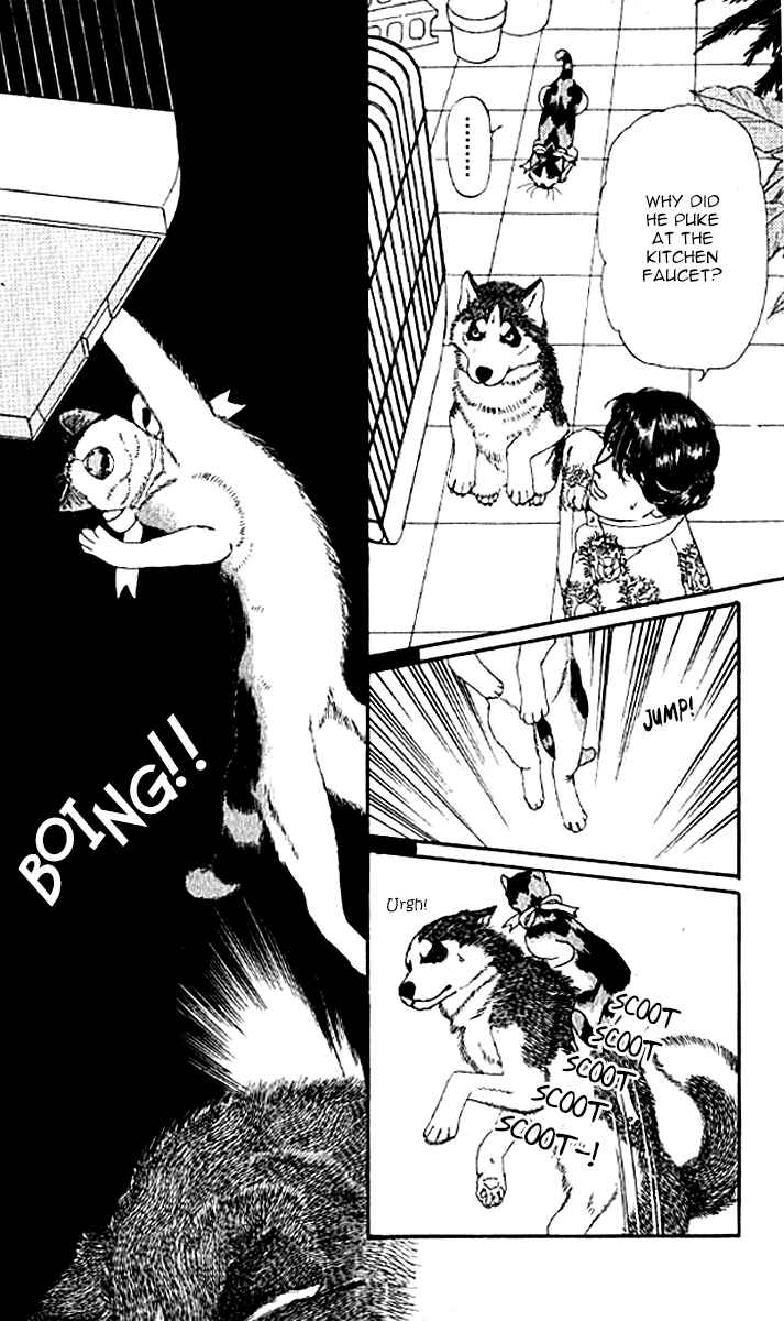 Page 16 Chapter 78 The Animal Doctor