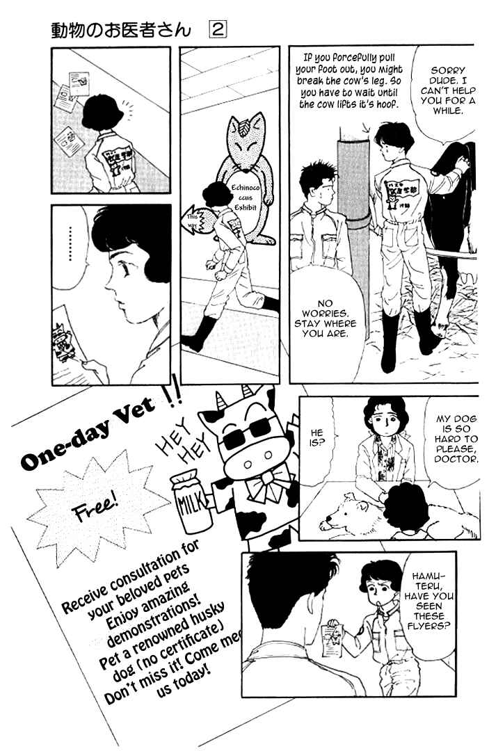 Page 13 Chapter 19 The Animal Doctor