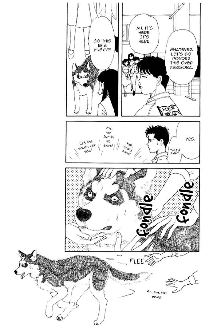 Page 9 Chapter 19 The Animal Doctor