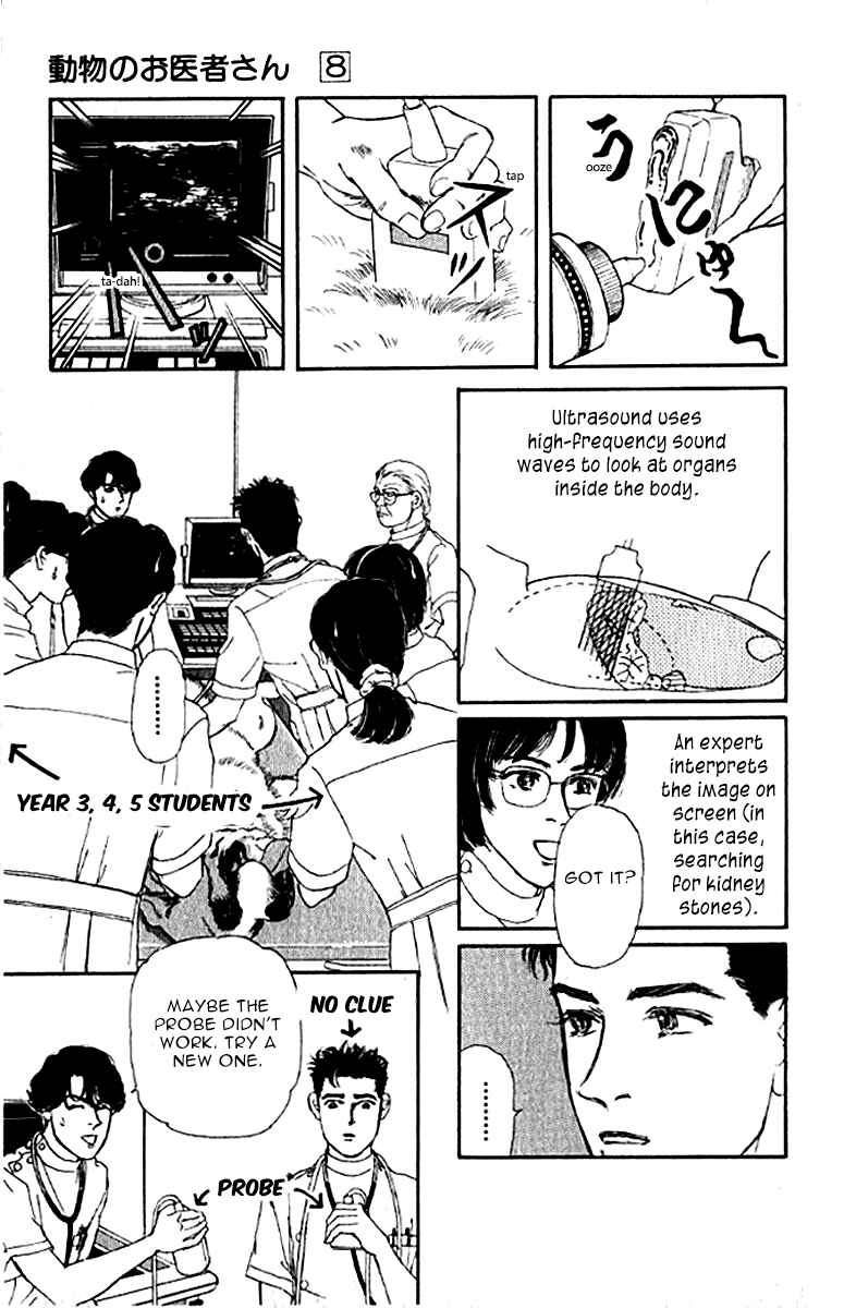 Page 5 Chapter 76 The Animal Doctor