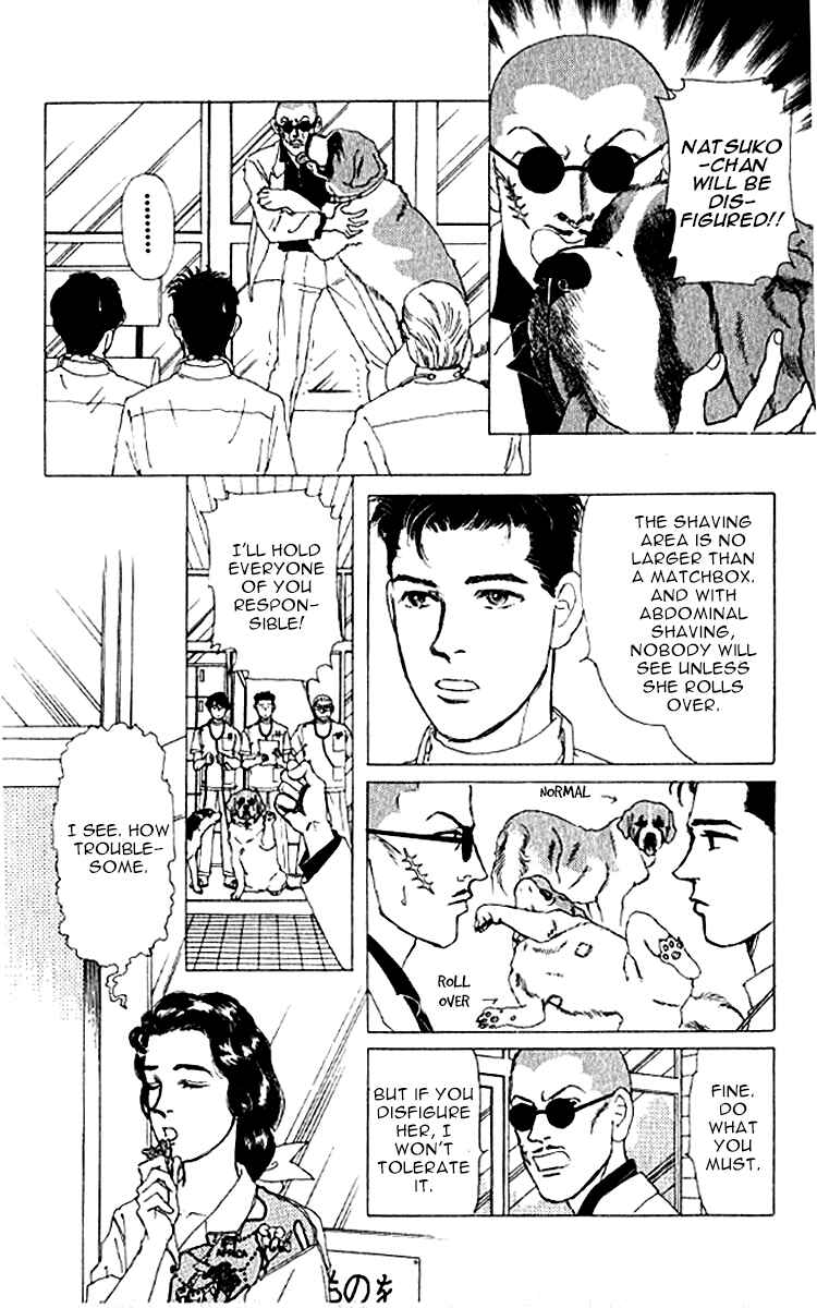 Page 8 Chapter 76 The Animal Doctor