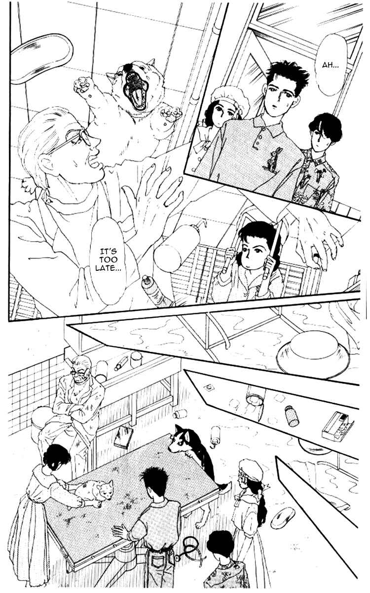 Page 17 Chapter 52 The Animal Doctor