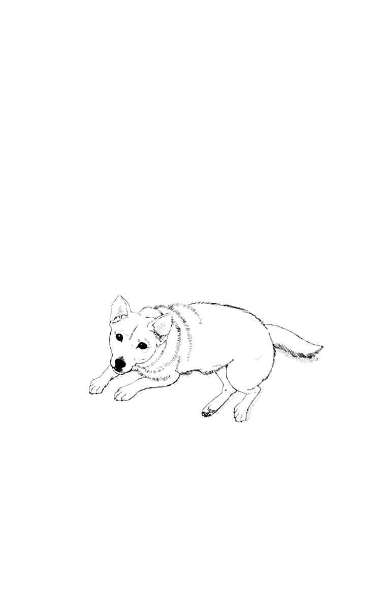 Page 3 Chapter 52 The Animal Doctor