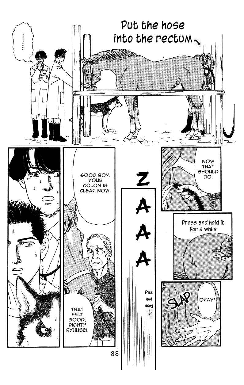 Page 16 Chapter 37 The Animal Doctor