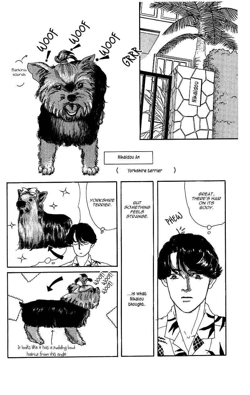 Page 5 Chapter 39 The Animal Doctor