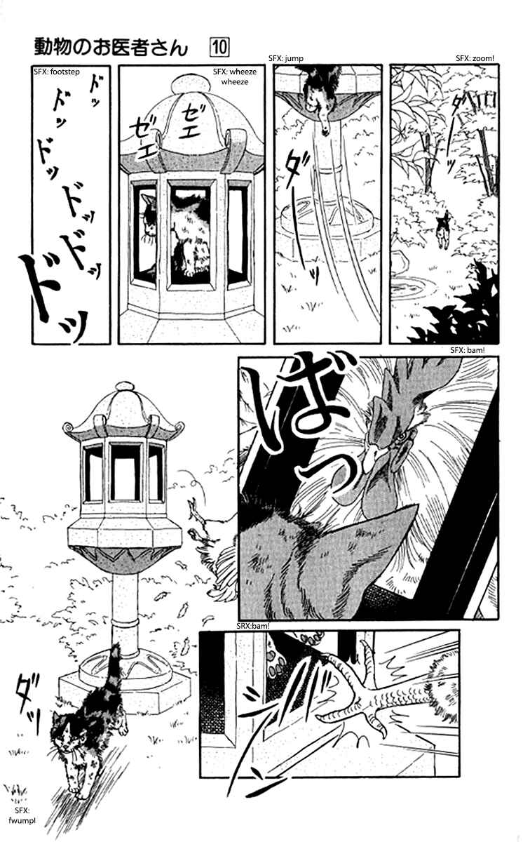 Page 17 Chapter 92 The Animal Doctor