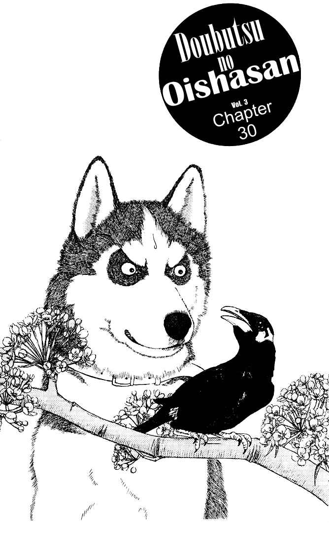 Page 2 Chapter 30 The Animal Doctor