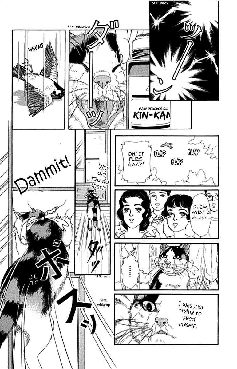 Page 17 Chapter 96 The Animal Doctor