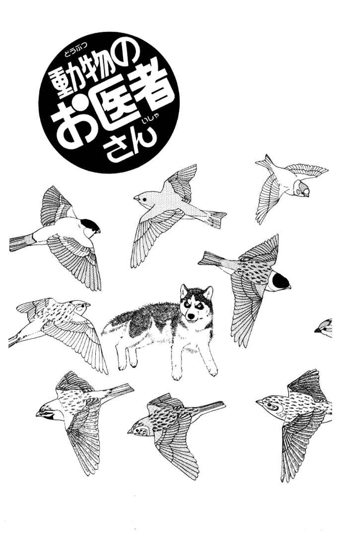 Page 1 Chapter 13 The Animal Doctor