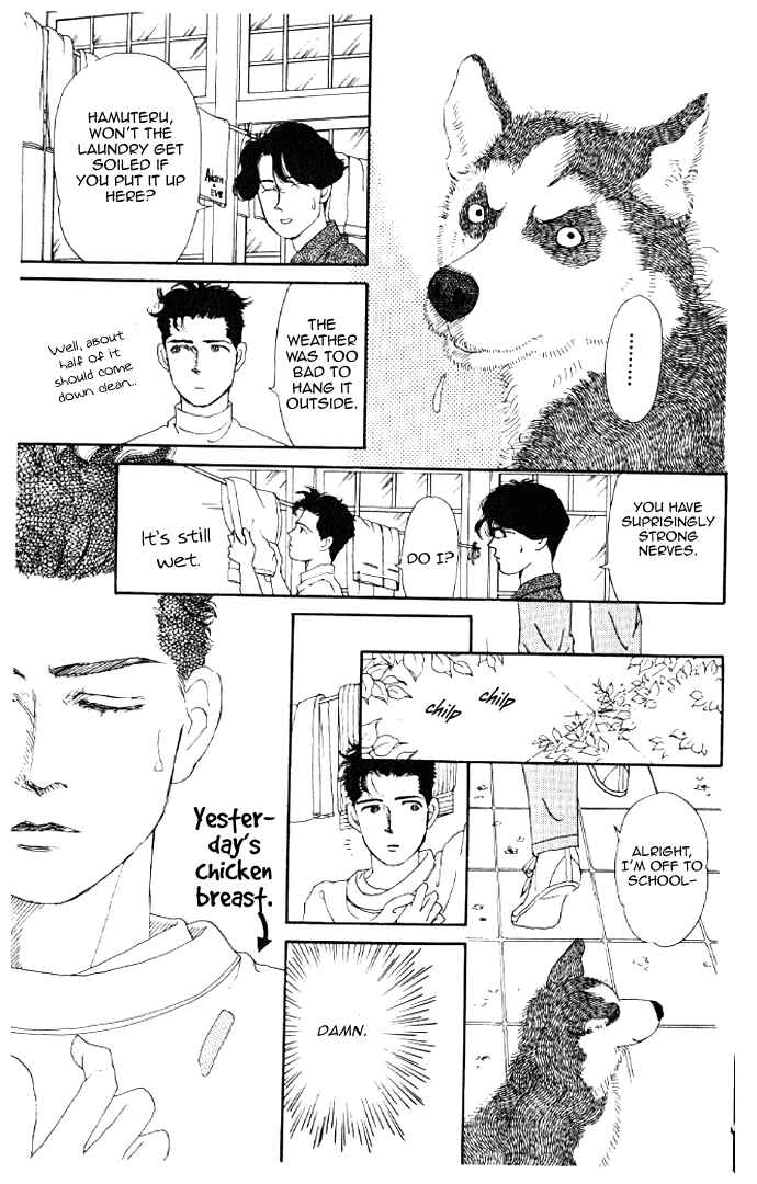 Page 11 Chapter 13 The Animal Doctor