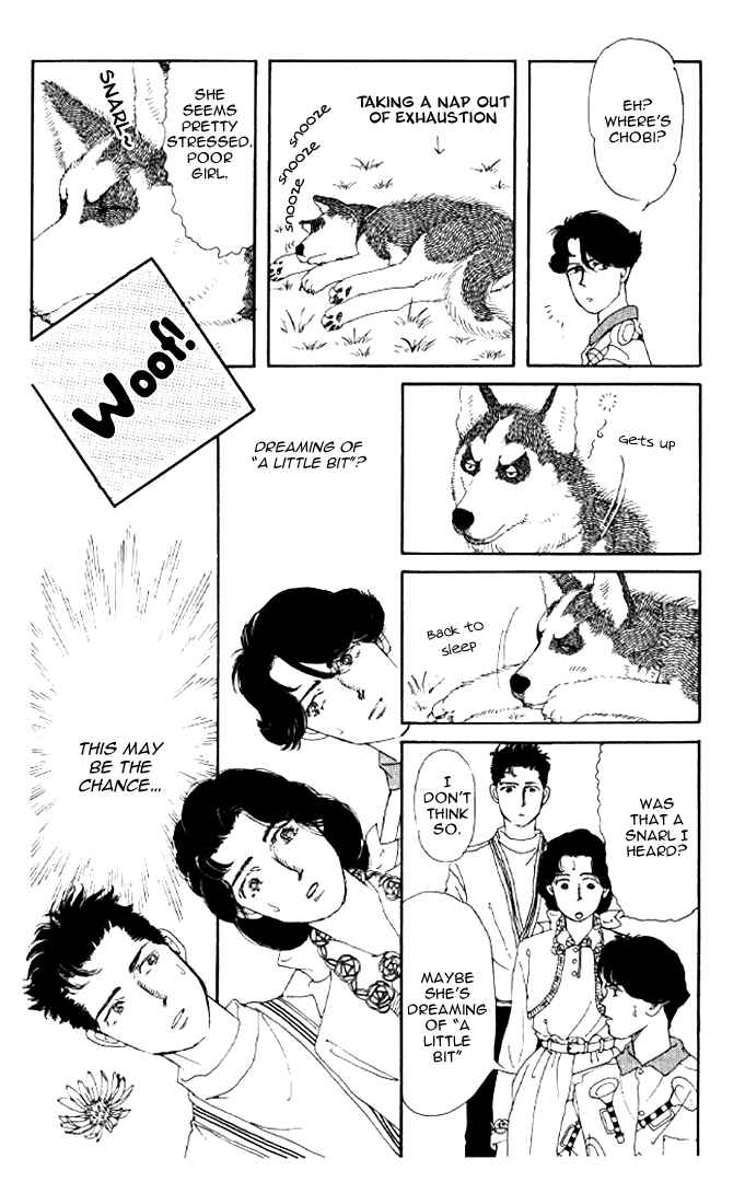 Page 13 Chapter 20 The Animal Doctor